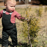 Long sleeve onesie - red Lifestyle